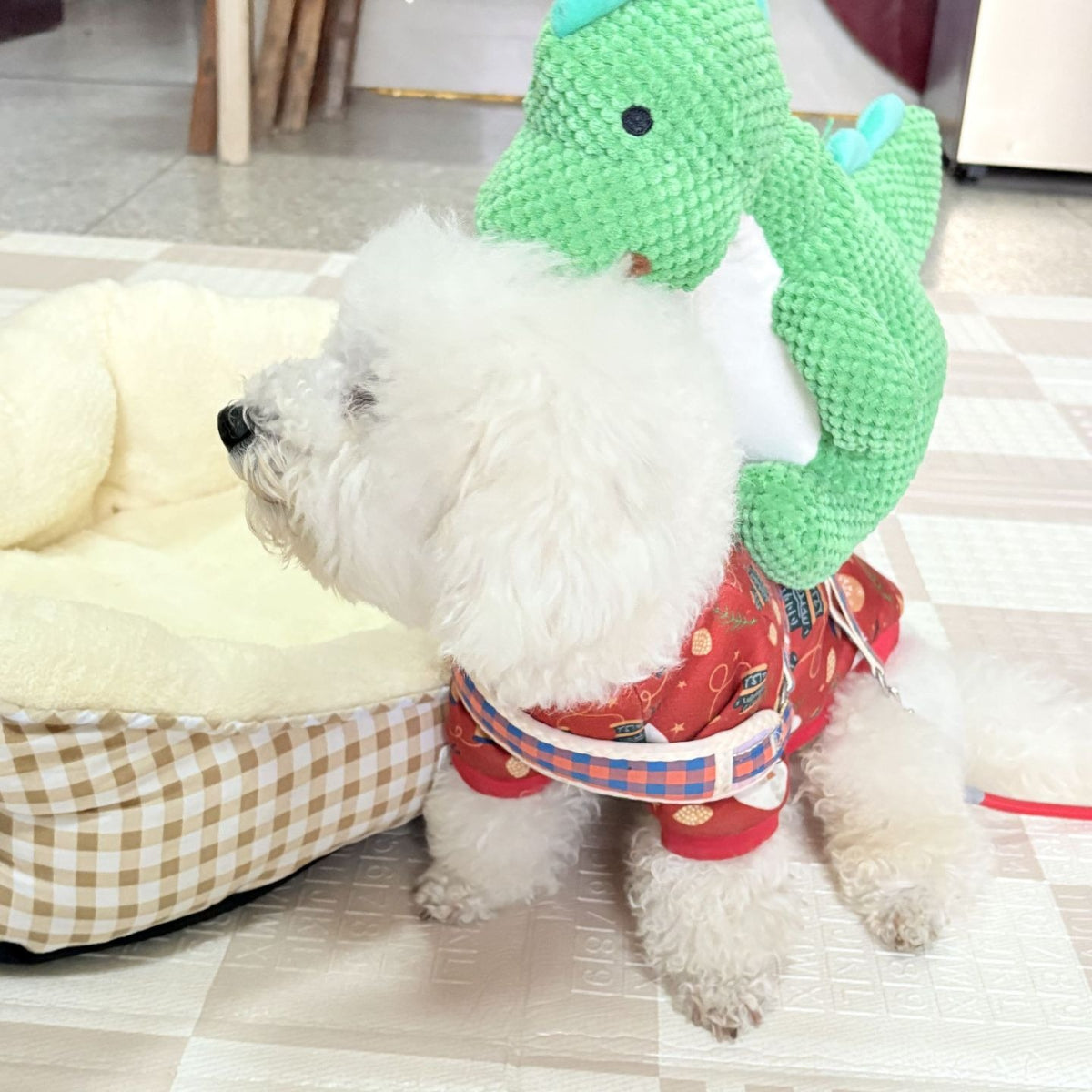 Squeaky Plush Dinosaur Dog Toy | Durable Chew Toy for Pets – ZHIHAO PET SHOP