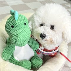 Squeaky Plush Dinosaur Dog Toy | Durable Chew Toy for Pets – ZHIHAO PET SHOP