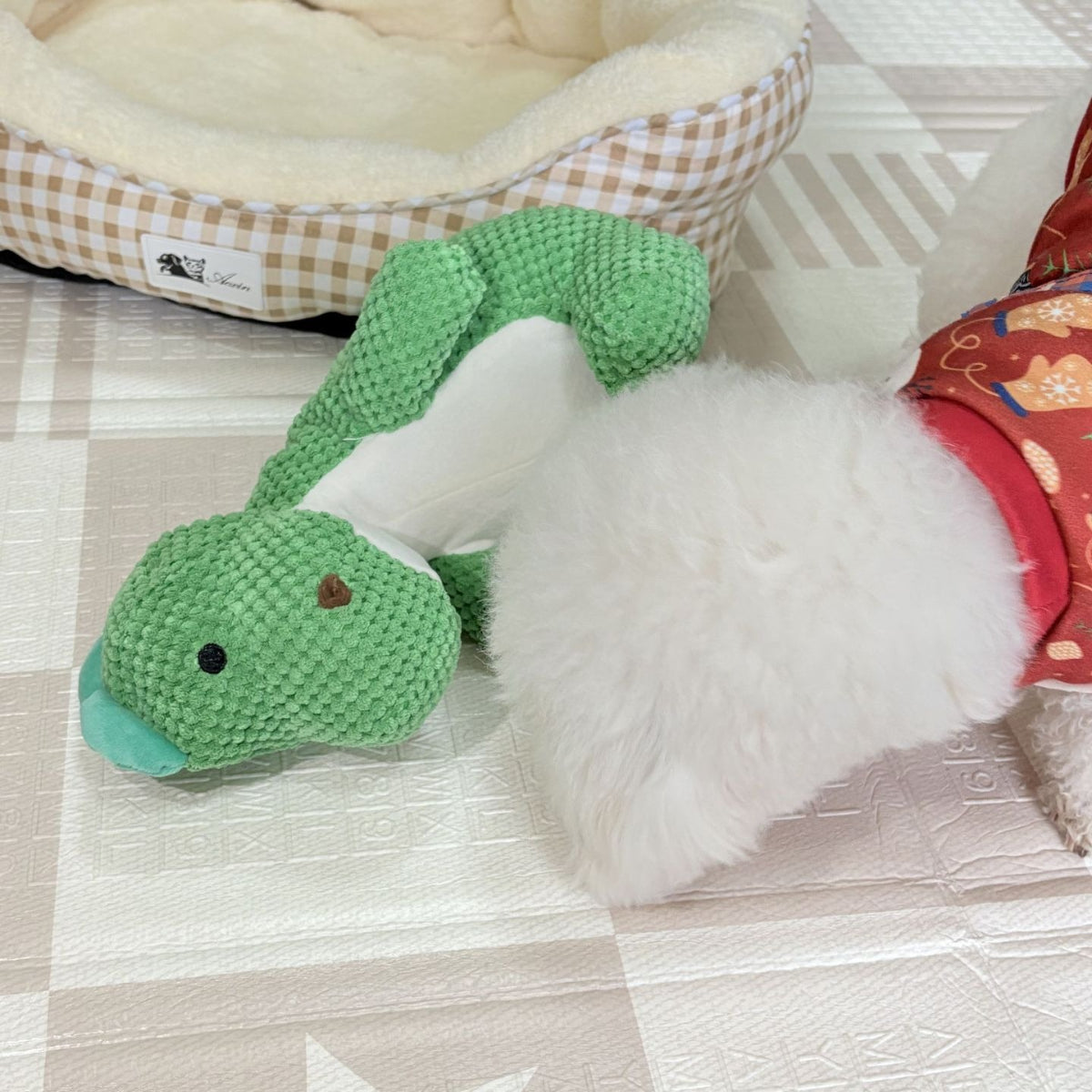 Squeaky Plush Dinosaur Dog Toy | Durable Chew Toy for Pets – ZHIHAO PET SHOP